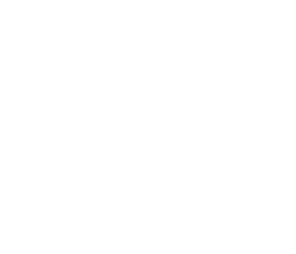 Logo de Winadev en blanc