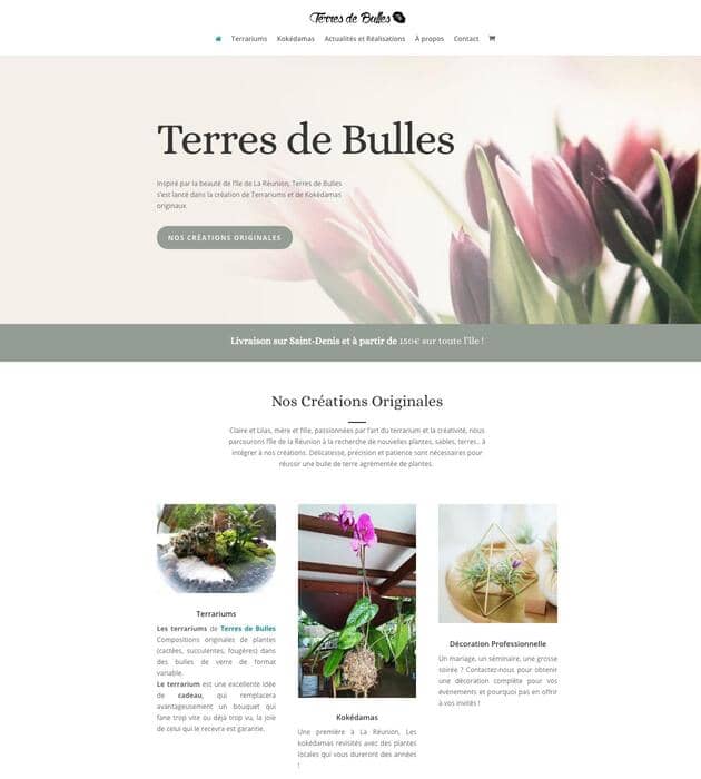 Aperçu du site internet de l'association TerresDeBulles